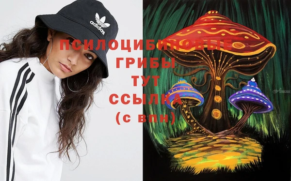 бошки Медвежьегорск