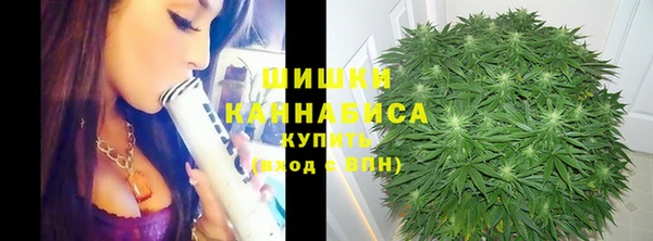 PSILOCYBIN Мегион
