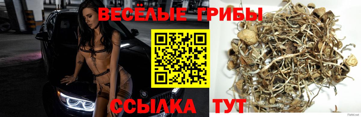 Томск  Галлюциногенные грибы ЛСД  Галлюциногенные грибы мицелий  Вход с VPN 