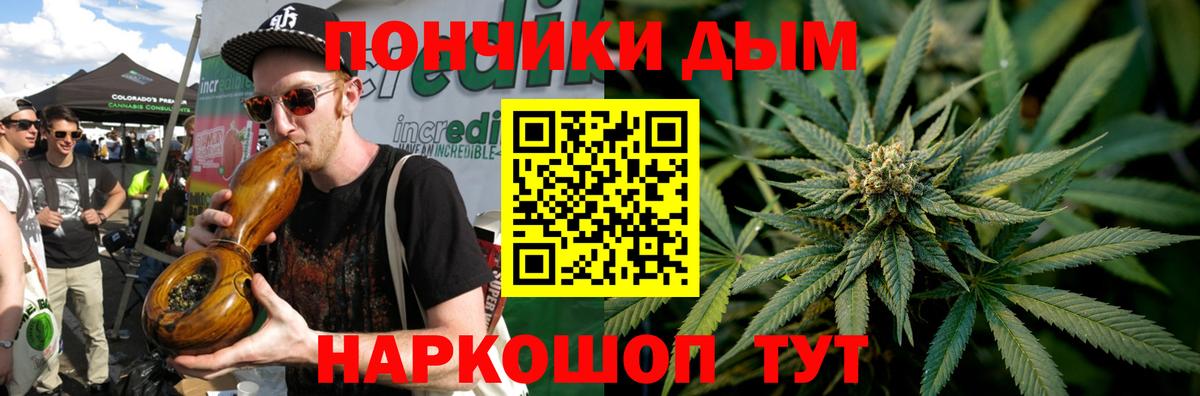 Канабис сатива Томск